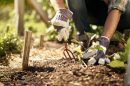 Understanding Soil Types for Gardening