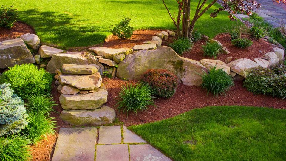 5 Amazingly Cheap Landscaping Ideas When You're On a Budget – Forbes Home