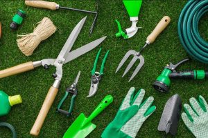 4 Essential Garden Tools For Beginners - Growing Family