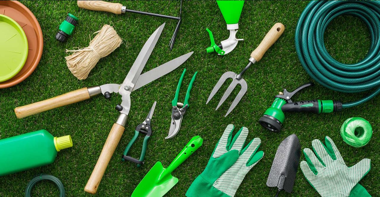 4 Essential Garden Tools For Beginners - Growing Family