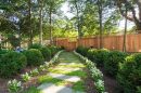 Choose Plants for Your Yard | Landscape Architecture Alexandria VA