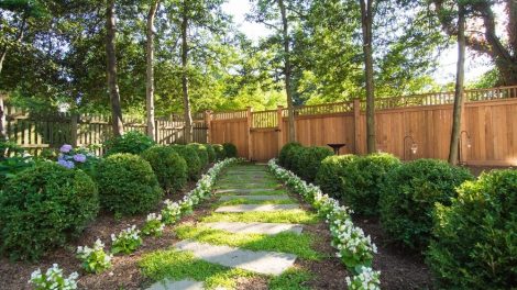 Choose Plants for Your Yard | Landscape Architecture Alexandria VA