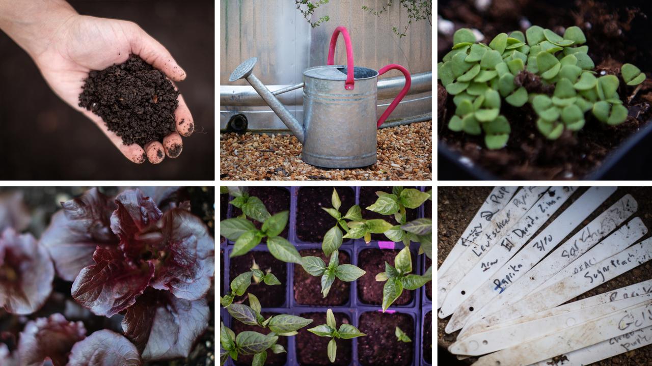 How to make a garden: a beginner's guide : The Salt : Life Kit : NPR