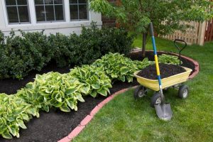 5 Amazingly Cheap Landscaping Ideas When You're On a Budget – Forbes Home