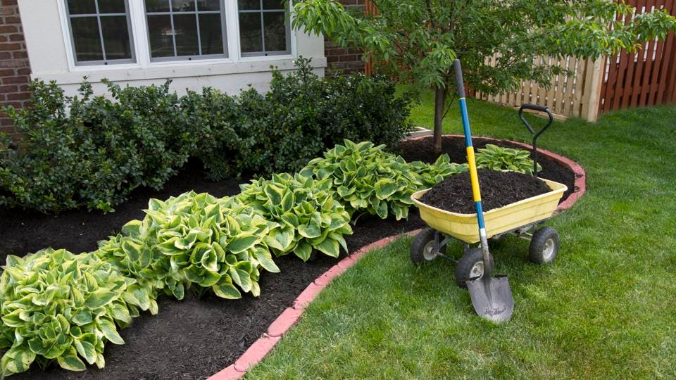 5 Amazingly Cheap Landscaping Ideas When You're On a Budget – Forbes Home