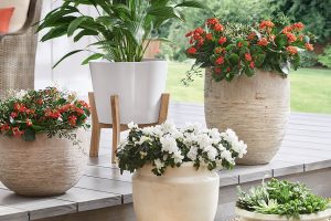 Outdoor Decor Ideas - The Home Depot